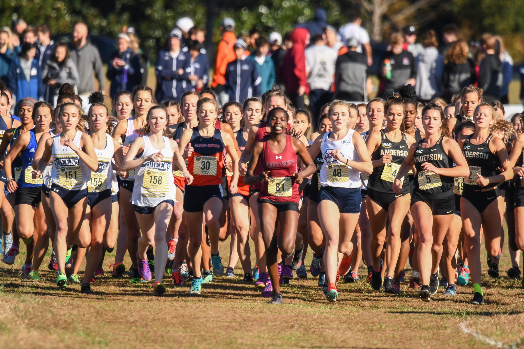 Cross country slated sixth, eighth in preseason poll