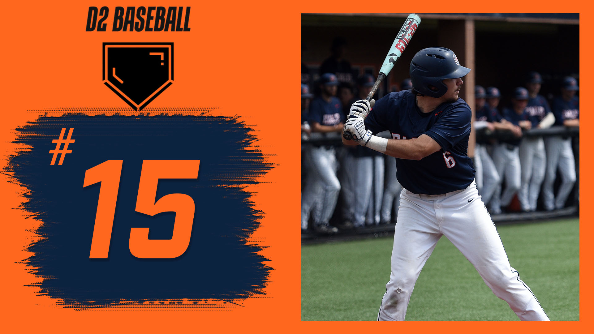 Eagles remain at 15 in DII Baseball poll