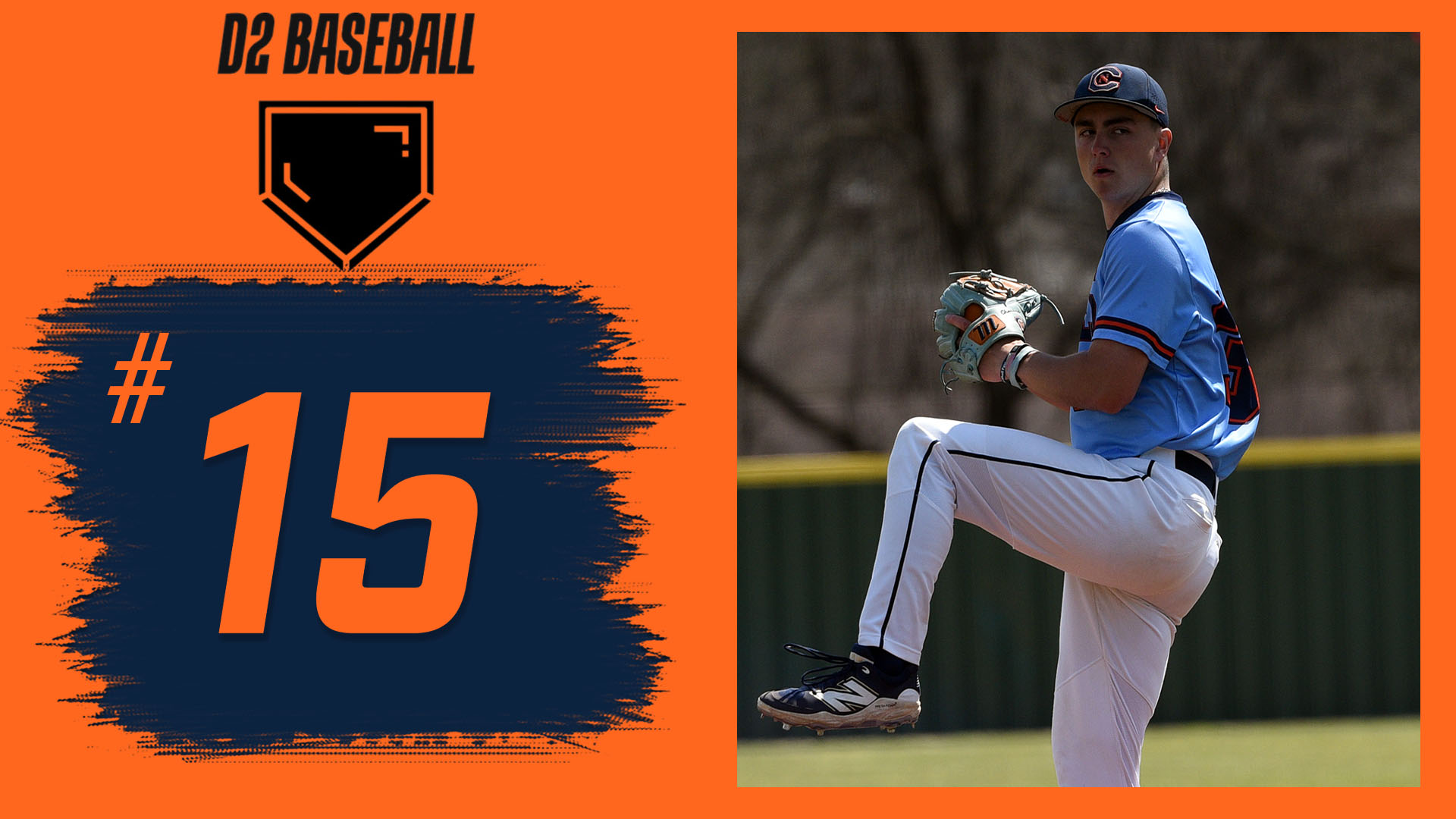DII Baseball keeps C-N at 15