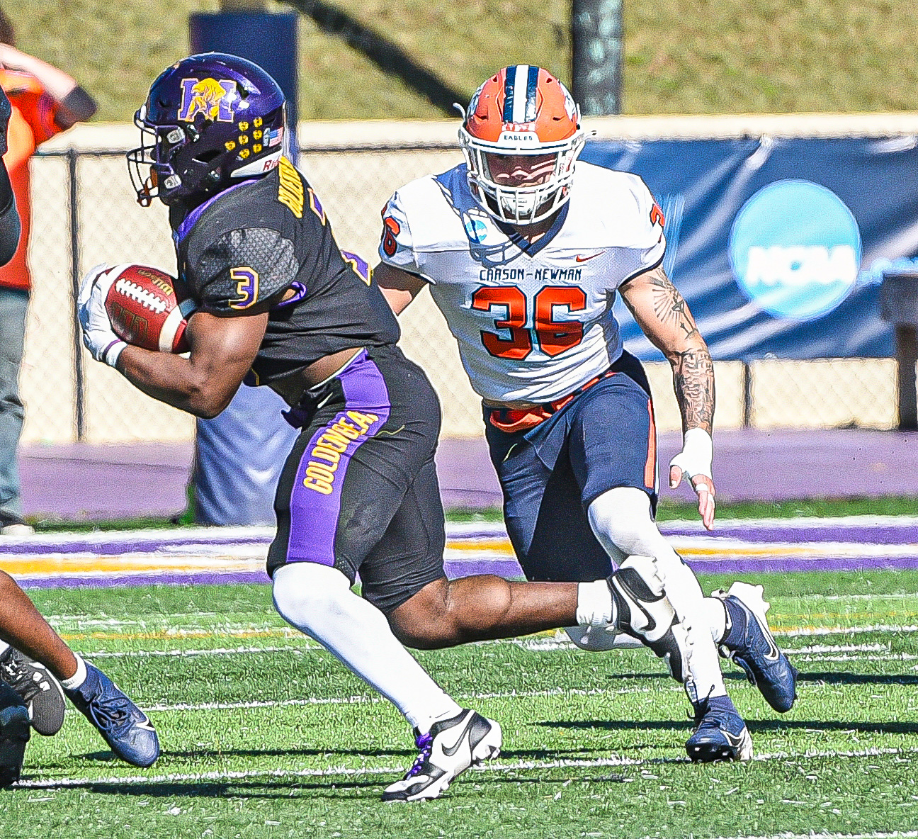 Fall Frosty Awards Nominees: Male Newcomer of the Year