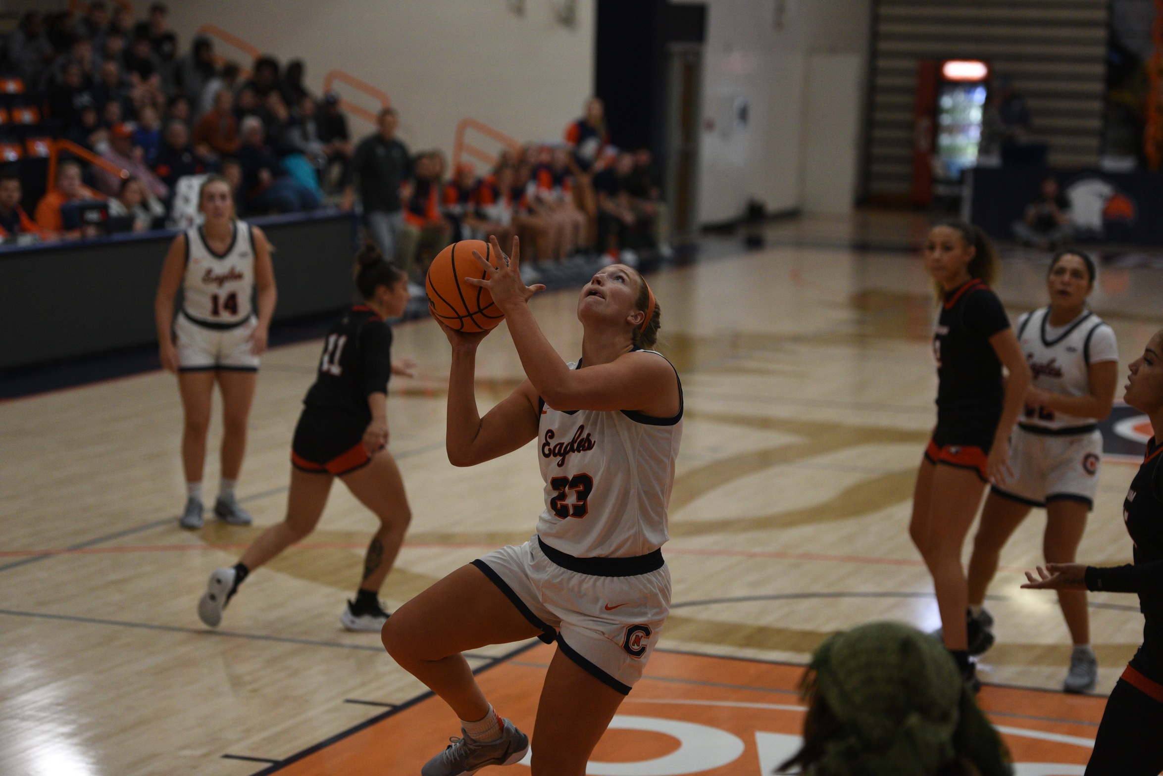 No. 9/7 C-N concludes homestand with visit from Catawba