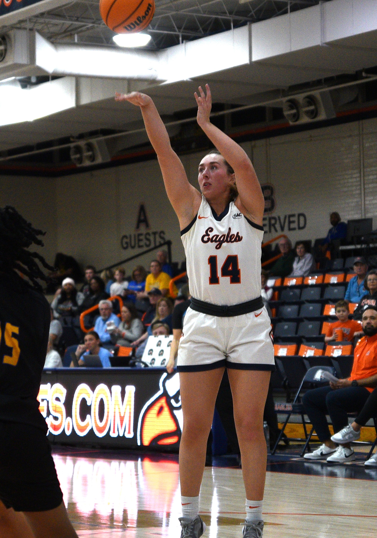 Eagles pull away from Wolves for 37-point home win