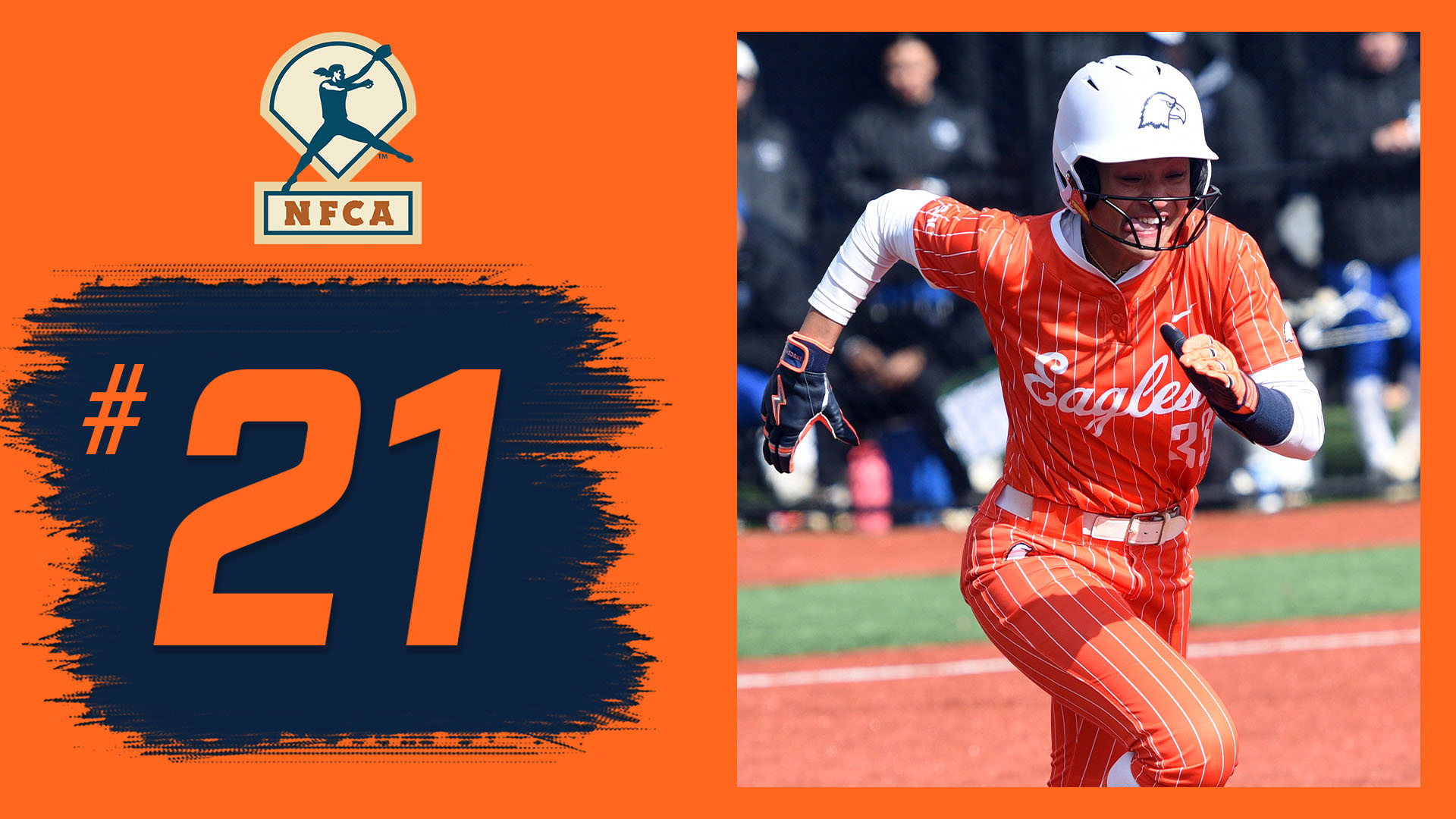 For the first time since the 2023 season, Carson-Newman is ranked in the NFCA Top 25