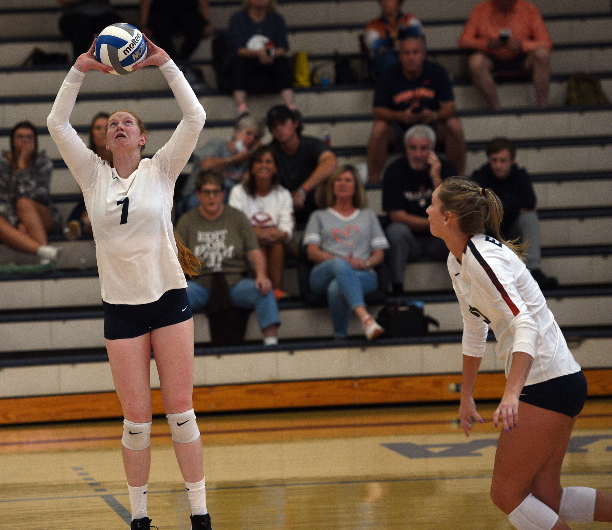 Fall Frosty Awards Nominees: Female Newcomer of the Year